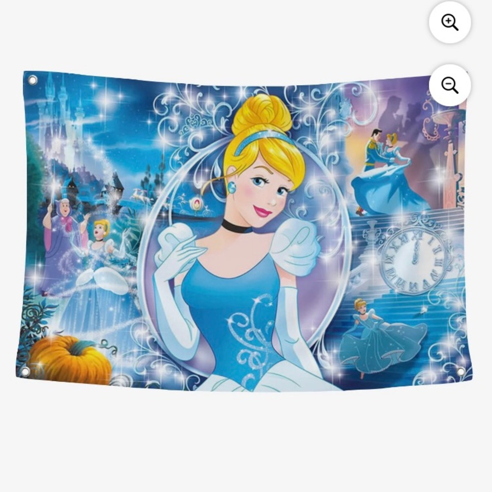 Cinderella Party Backdrop
